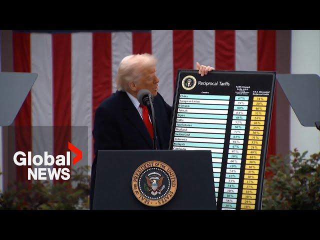 "Utter chaos": Trump tariffs have cut US off from most of the world, economist says