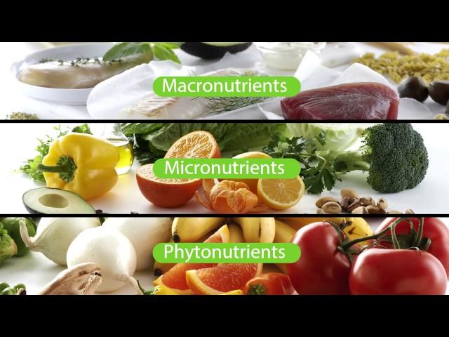 What Supplements Should I Take? The Nutrilite Foundational Four | Amway