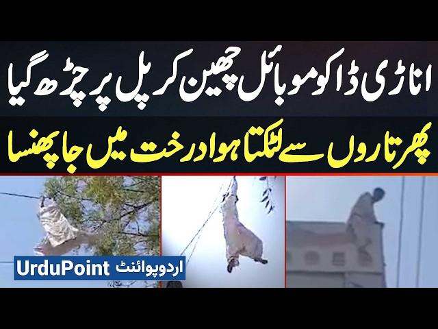 Robber Snatches Mobile Phone, Climbs Onto Bridge, Then Gets Stuck In Tree While Hanging From Wires