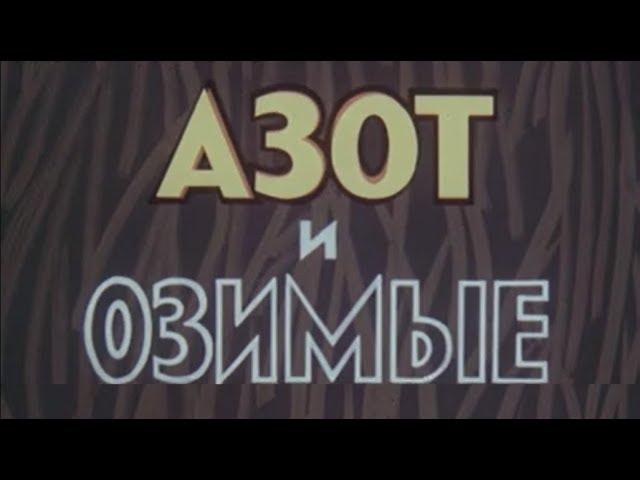 Азот и озимые