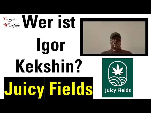 Juicy Fields: Igor Kekshin zum JuicyFields Scam