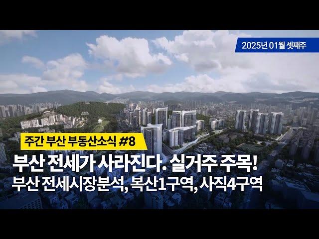 주간부산부동산소식 8/부산전세가 없어진다, 사직4, 복산1