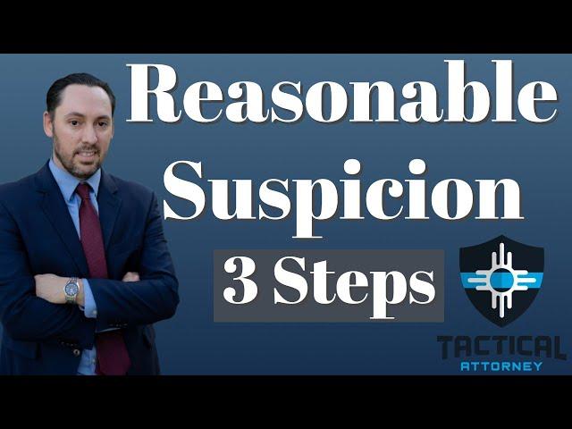 Reasonable Suspicion - Prosecutor Explains