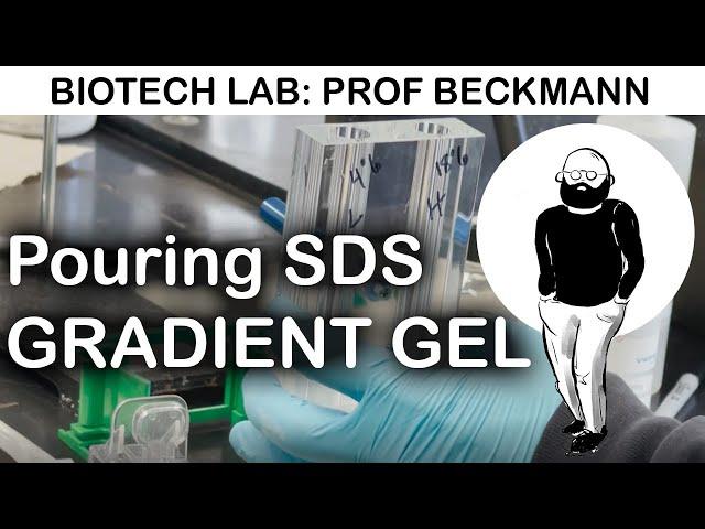 How to Pour Gradient SDS PAGE Gels