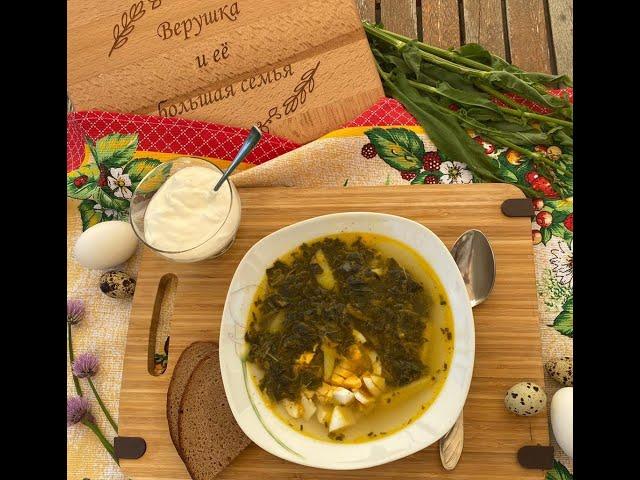 Зелёный борщ с щавелем и крапивой - дешево, но очень вкусно!/Grüner Borschtsch mit Sauerampfer