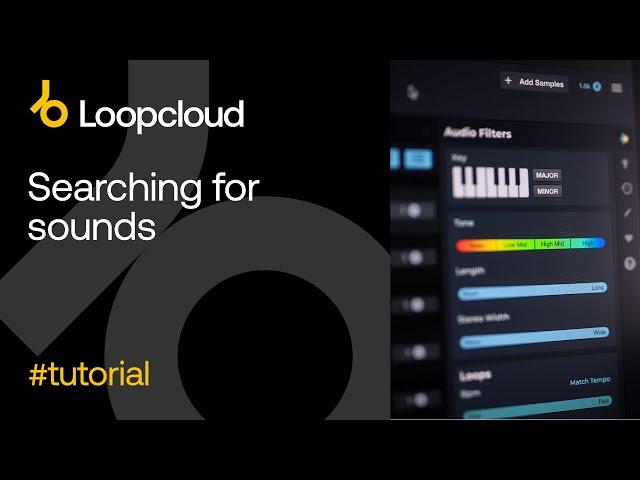 Searching for Sounds - Loopcloud 6