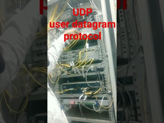 UDP | user datagram protocol | #shorts #shortvideo  #education