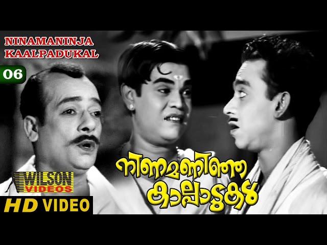 NINAMANINJA KAALPPAADUKAL CLIP 6  SP PILLAI, BAHADOOR, ADOOR BHASI COMEDY SCENE