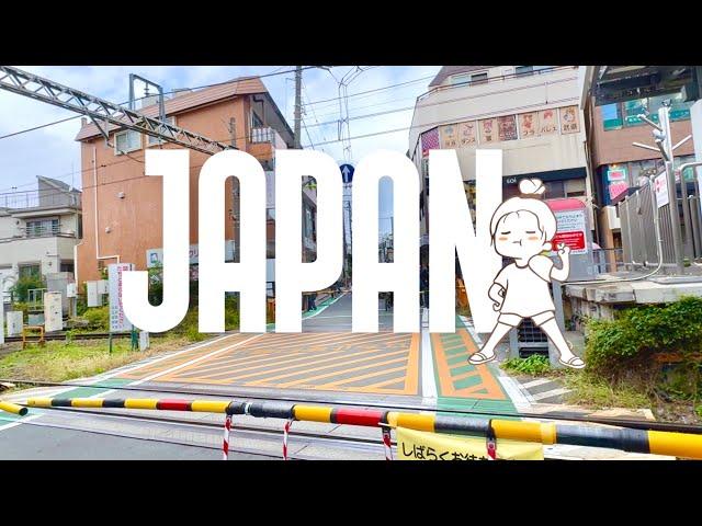 Japan Travel Vlog Aesthetic in Fall/Autumn 2024 & HAUL!  Tokyo and Kyoto, and Plenty of Food