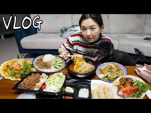 Enjoying Southeast Asian Food in Korea(?) Vietnamese and Thai Cuisine! Here I come!ㅣHamzy Vlog