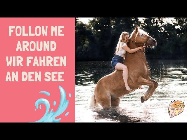 Schwimmen mit Pferd I Vlog I Anja Fee