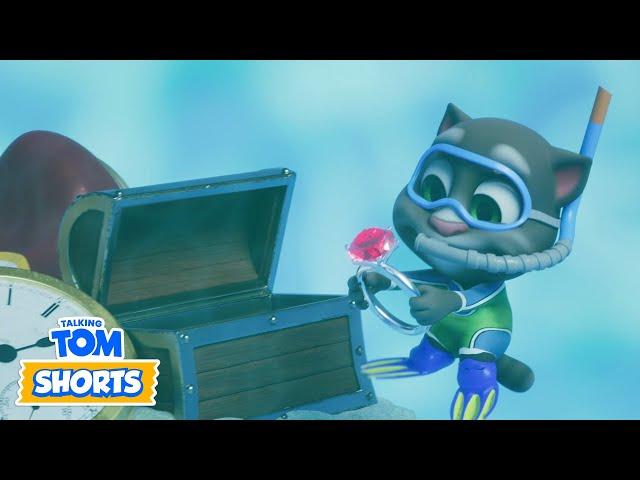 Best. Summer. EVER! ️ Talking Tom Shorts Cartoon