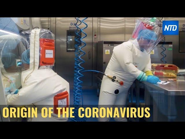 The Origin of the Coronavirus | NTDTV