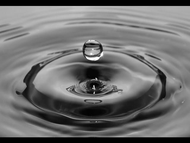Еда живая и мёртвая. Вода