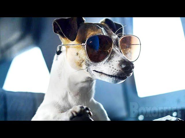 Crazy Dog | Full Movie in English | Family Funny Comedy