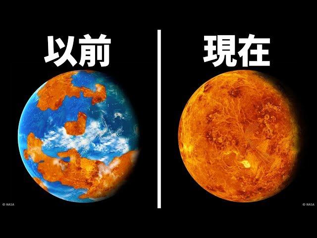 金星上曾經出現過生命