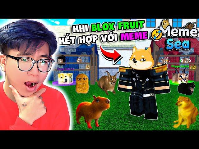 BI HUỲNH CHƠI THỬ TỰA GAME BLOX FRUIT NHƯNG KẾT HỢP VỚI MEME | ROBLOX