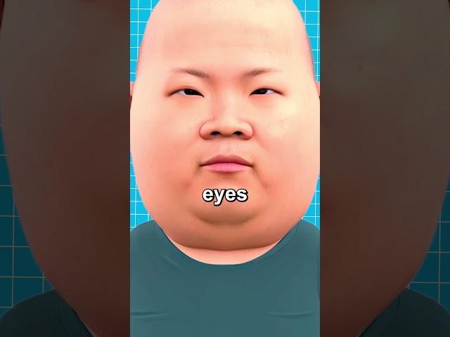 Why Asians Have Small Eyes 