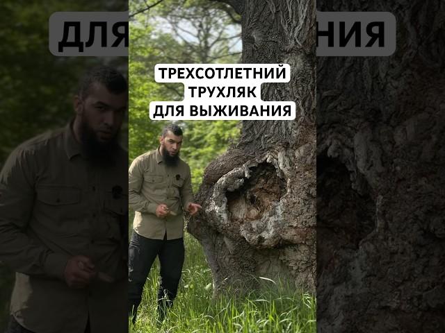Гениальная идея для разведения костра