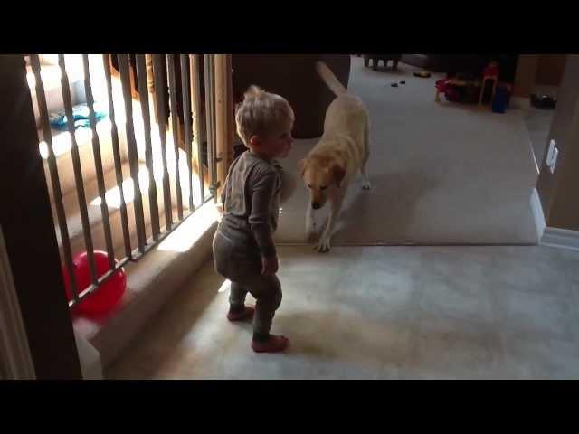 Surprise poop while playing with a balloon