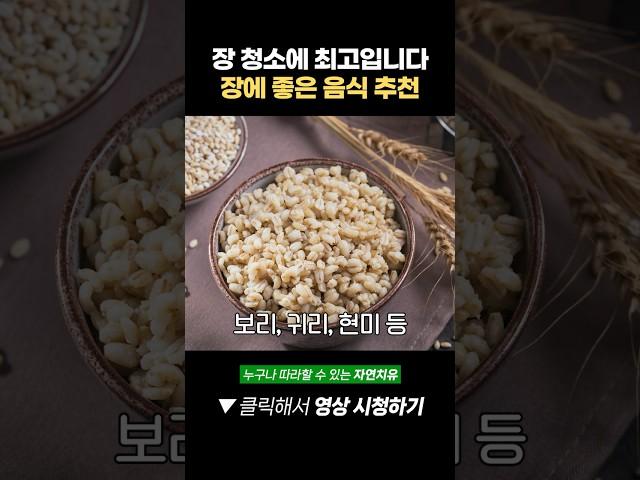 이 음식들 장 청소에 최고입니다! 장에 좋은 음식 추천