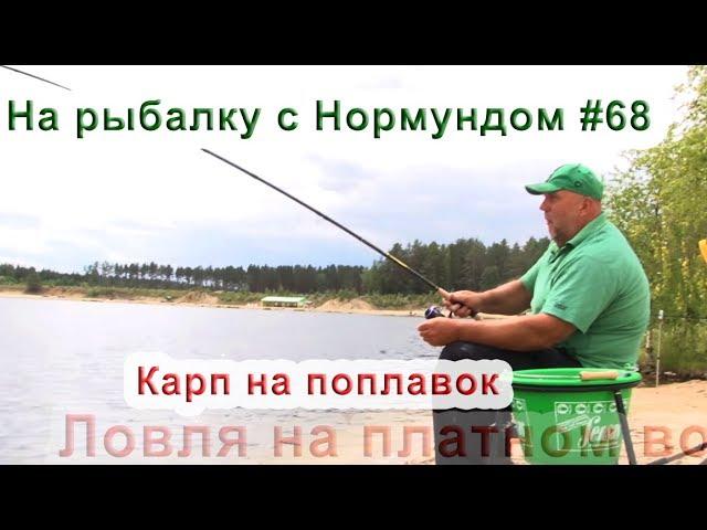 Карп на поплавок. На рыбалку с Нормундом #68