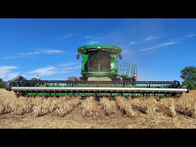 Black Bean Harvest Is Underway In Michigan!!