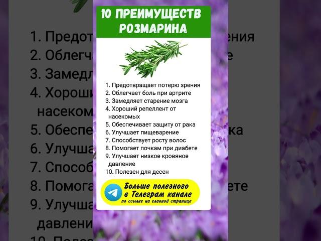 Розмарин.. полезно знать