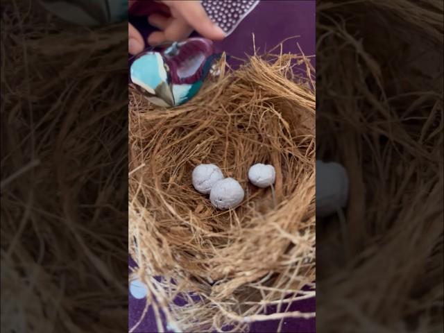 DIY bird nest | School project for kids