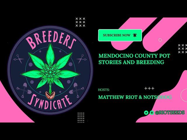 Breeders Syndicate - Different 90s Stories from Mendocino - 04-22-22 - Riot Seeds and Notsodog