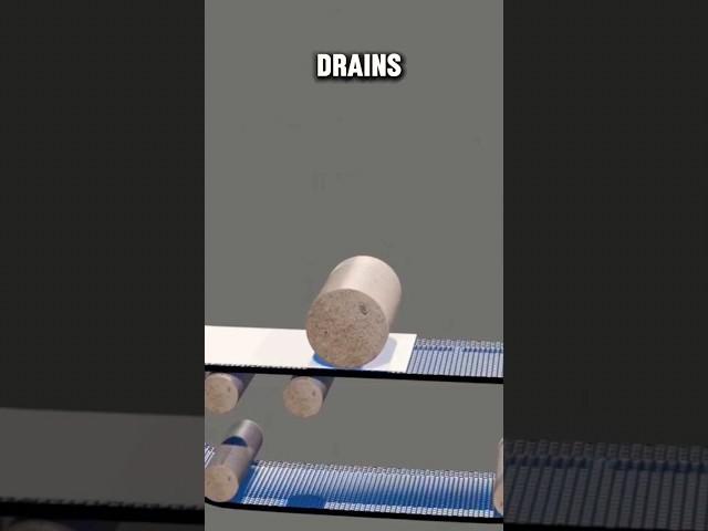 How Papers Are Made From Trees