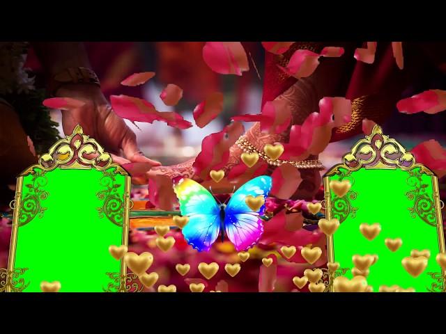 Girl entry croma video | wedding croma video | green screen wedding background video