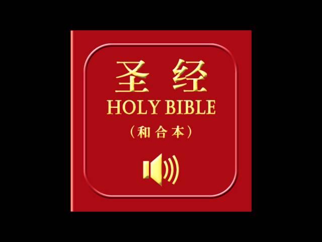 和合本圣经 • 启示录 | Chinese Union Version Bible • Revelation