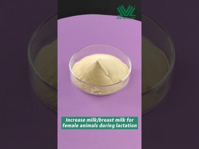 Wholesale bulk high quality organic bacillus subtilis.
