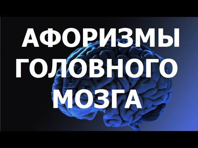 Афоризмы головного мозга.