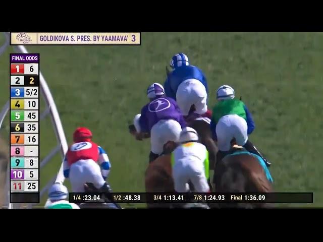 2024/11/2/R3/Frankie Dettori/Raqiya/(Age3)T.Owen Burrows@1m(Grade3) Delmer