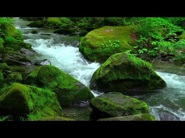 Relaxing Water - Healing Music for Spiritual Practice - Ethereal Meditative Ambient Music