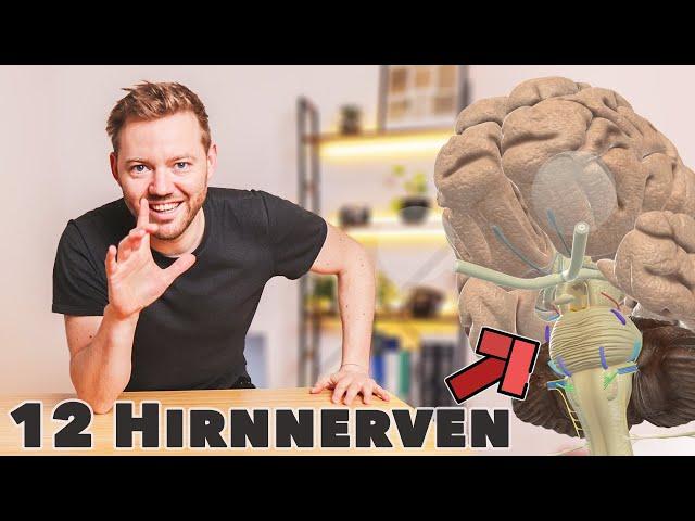 Die Hirnnerven - Neue Merkhilfe und Übersicht