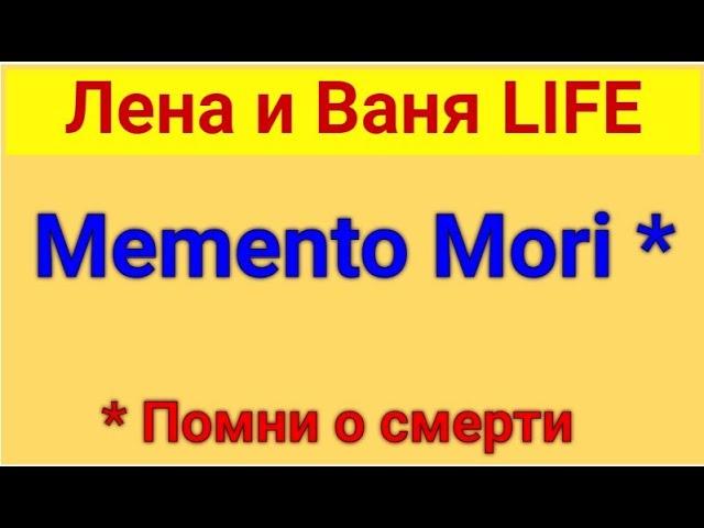 Лена и Ваня LIFE. Новый комплекс. Обзор влогов. 09 07 2023 Лена