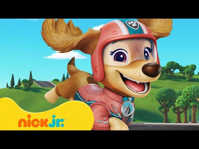 PAW Patrol Liberty Saves the Day!  10 Minutes | Nick Jr.