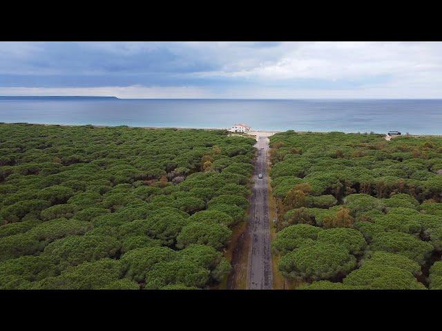 Arborea, un pezzo di Veneto nella Sardegna