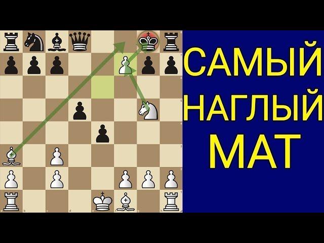 ЭТА ЛОВУШКА ПРИНЕСЁТ ВАМ +300 РЕЙТИНГА. Шахматы ловушки