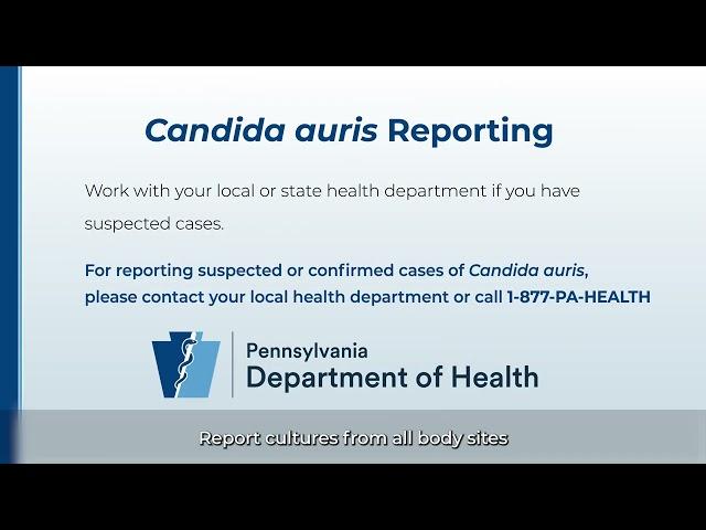 Candida auris Surveillance, Reporting, and Tracking