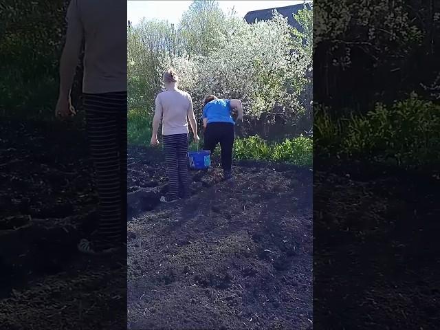 Открытие огородного сезона| #удмуртия #деревня #огород #весна #travel #russia #shorts #respect