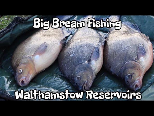 BIG BREAM fishing at Walthamstow Reservoirs | Alfie Russell