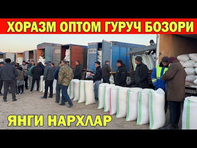 ХОРАЗМ ОПТОМ ГУРУЧ БОЗОРИ ЯНГИ НАРХЛАР 19-НОЯБР !!! ХОРАЗМ БОЗОР