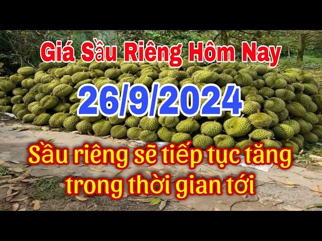 DURIAN PRICE TODAY 9/26 IS FORECASTED TO CONTINUE TO INCREASE