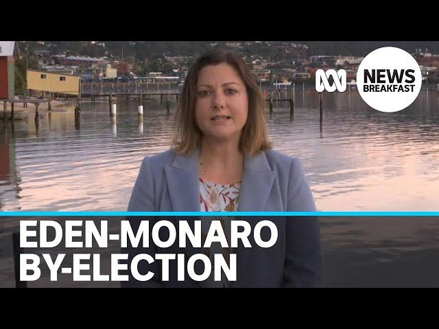 Labor's Kristy McBain aiming to 'hit the ground running' after Eden-Monaro by-election | ABC News