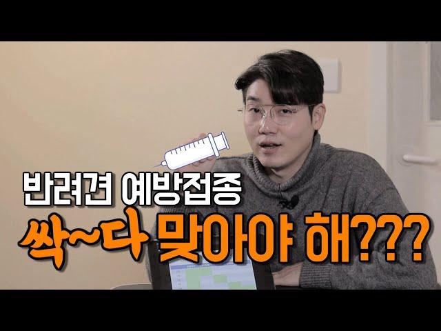 반려견 필수예방접종 총정리! 꼭 알아야 겠쥬?!