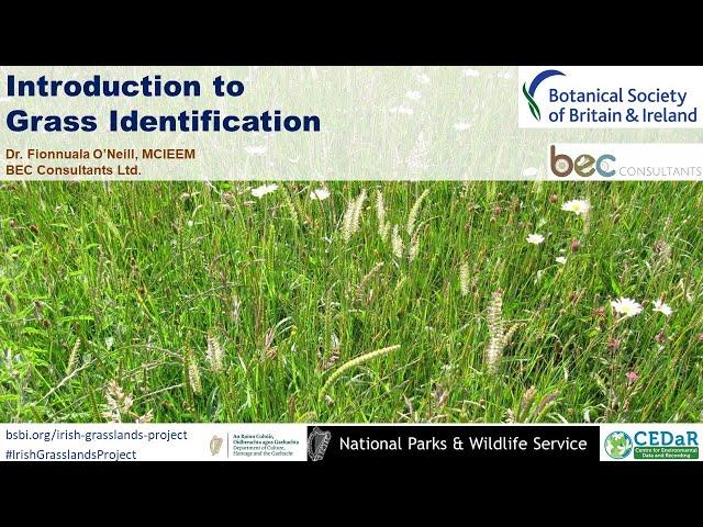 Introduction to Grass Identification